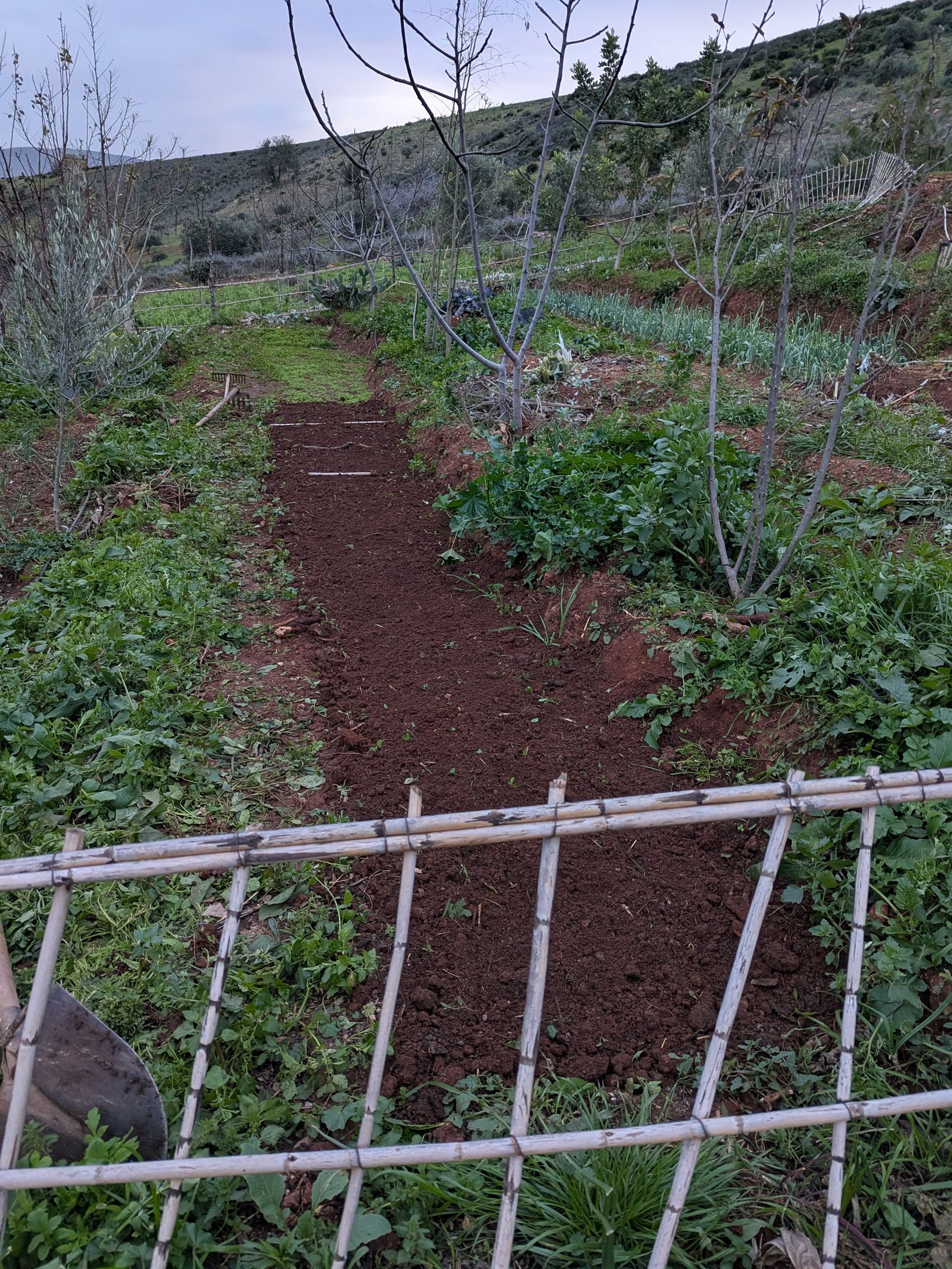 A quiet dusk path through the garden terraces