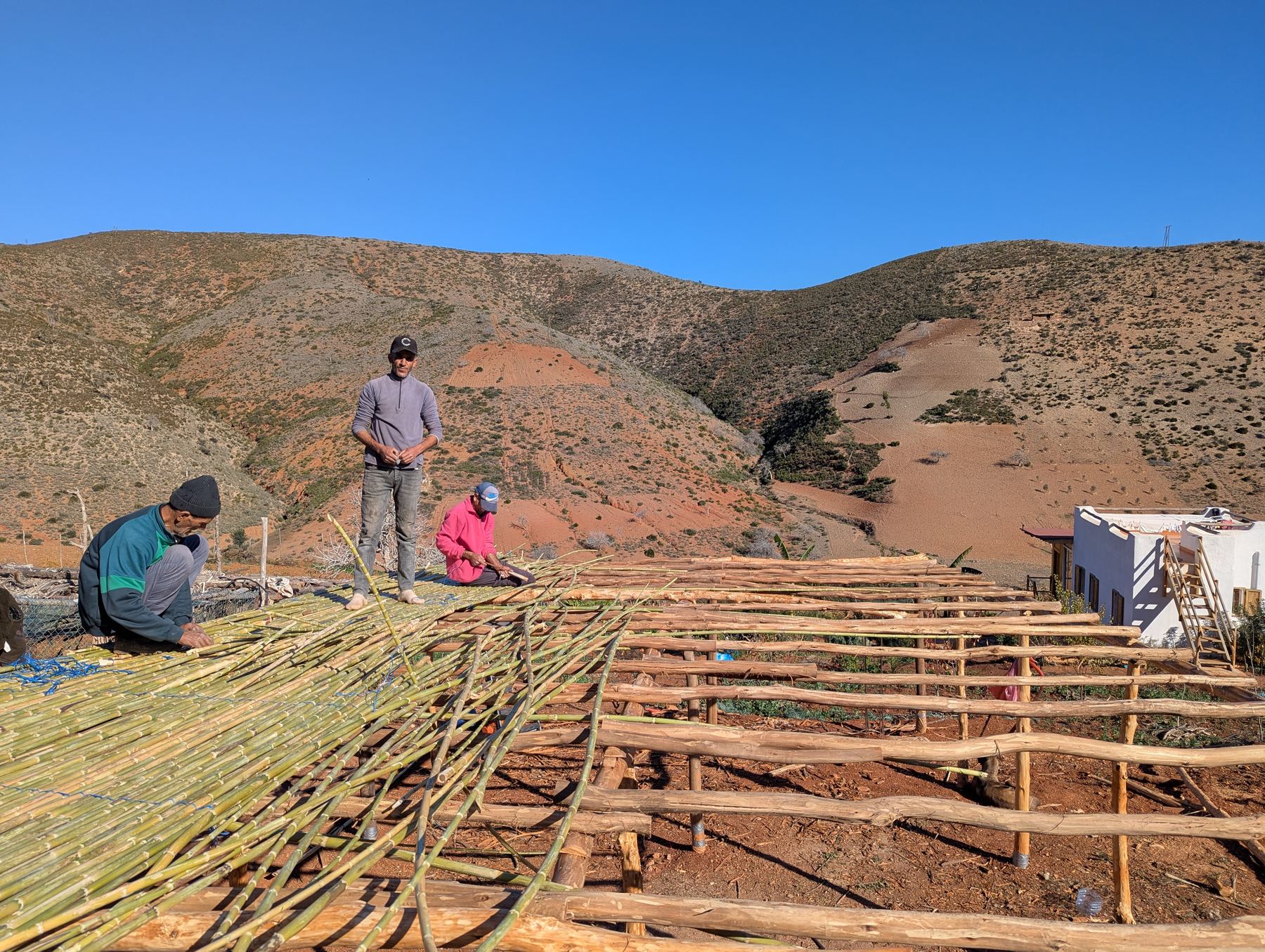 Craftsmen hand-weaving a traditional cane and reed roof