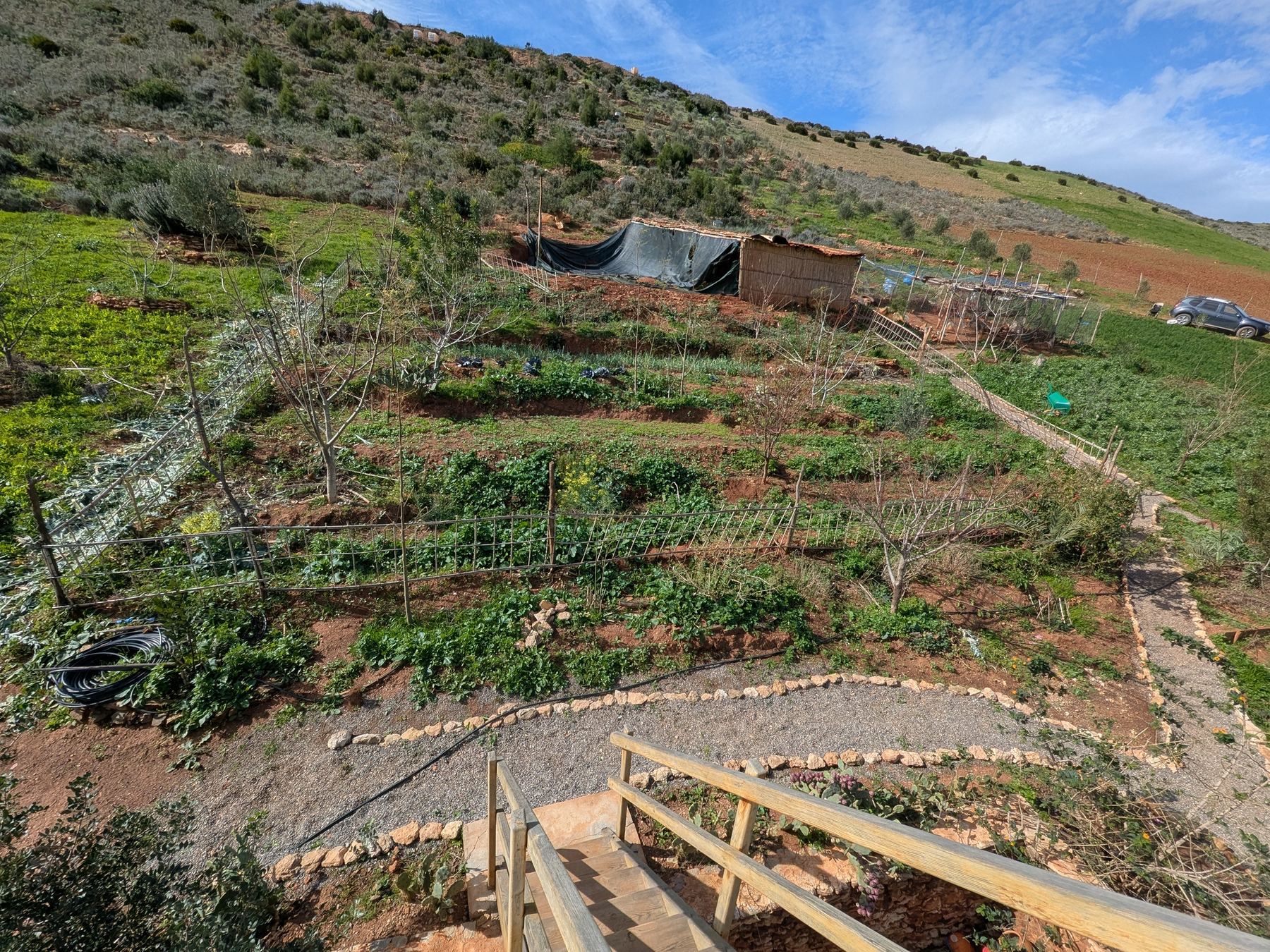 Terraced vegetable gardens on the hillside
